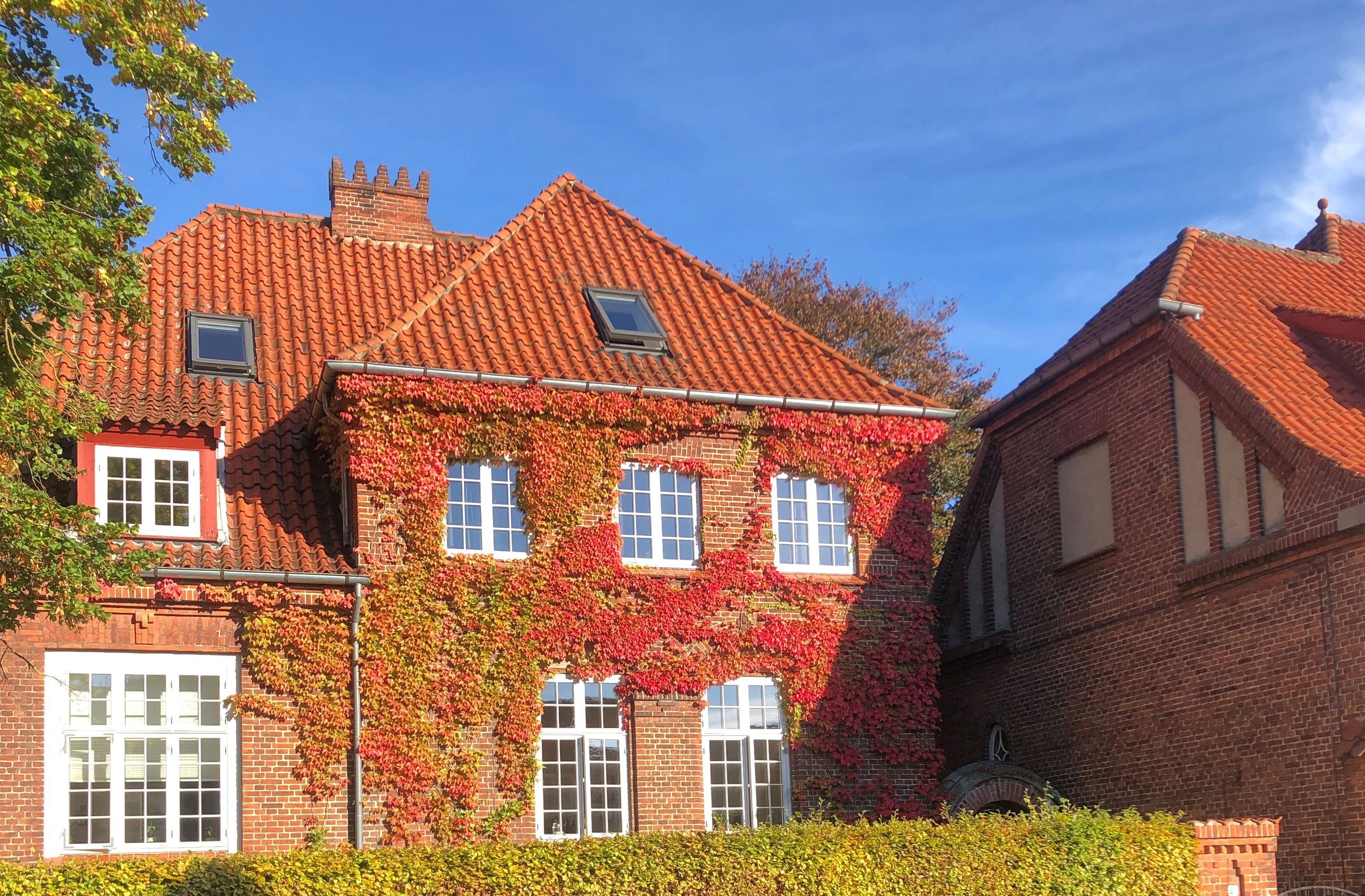 Kvindekrisecentret